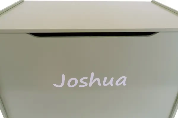 Voor de retro groene opbergkist XL