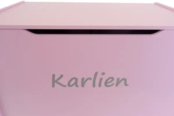 Voor de retro roze opbergkist XL